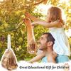 Teardrop Shaped Hanging Butterfly Feeder Rustic Insect Feeder House  Outdoor Garden Use