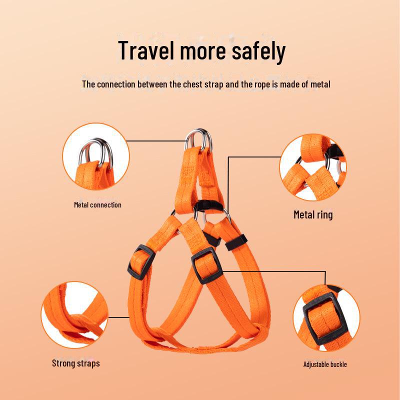 Adjustable Dog Leash and Collar Set for Small, Medium, and Large Dogs - Ideal for Walking Pets like Teddy and Golden Retriever