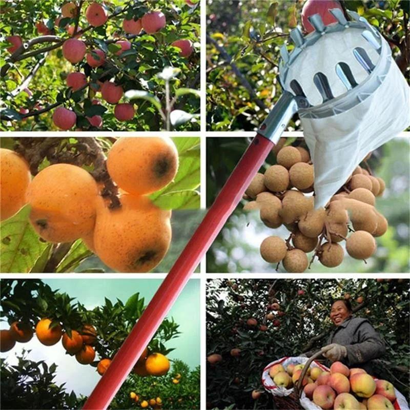 Farm Obstpflücker Garten Obstplantage Pfirsich Apfel Hoher Baum Pflücker Metallpflücker Sammelbeutel Herbsternte Bequemlichkeitswerkzeug