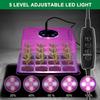 4/5/6 Pack Full Spectrum LED Grow Light with Seedling Tray Plant Seed Starter Trays Greenhouse Growing Lamp Hole 12 Cell Per Tray