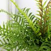 Real Touch Artificial Fern Plants Plastic Fake Plants Green Leaves Plants  Hotel Restaurant Decor