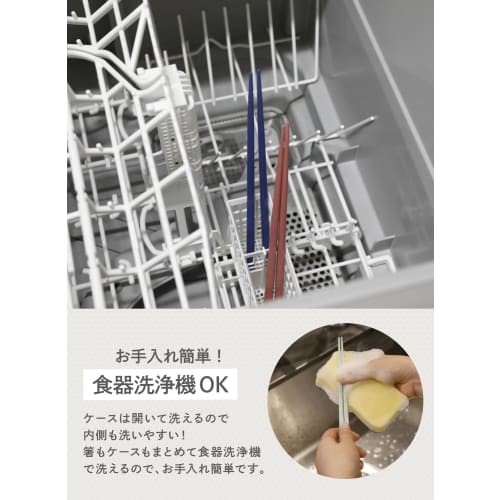 CB Japan Chopsticks with Case, Antibacterial, Light Gray, Dishwasher Safe, Bento Chopsticks, 20.5cm, Quiet, Easy To Store In the Case, Natural Wood, L