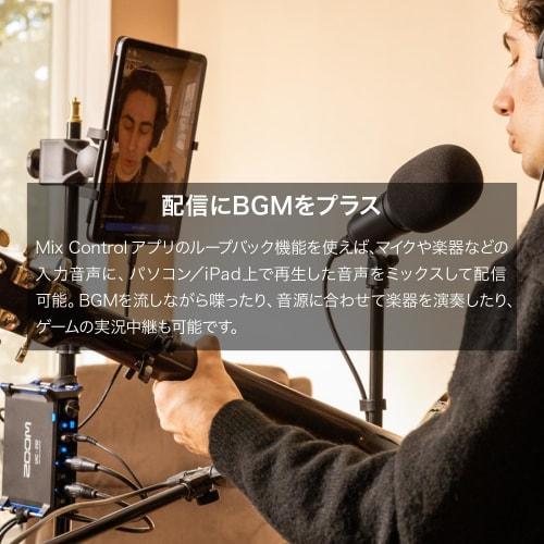 ZOOM UAC-232 USB Audio Interface with 2 Inputs/2 Outputs, Compatible with Windows, Mac, iPhone, and iPad, Dual AD & 32-bit Float Technology, No Gain A