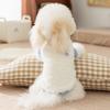 Autumn and Winter Pet Clothes Cat Puppy Dog Warm Thickened Two-legged Clothes