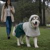Dog Raincoat with Hood for Extra Large Dogs 30-40 KG, Green, XL