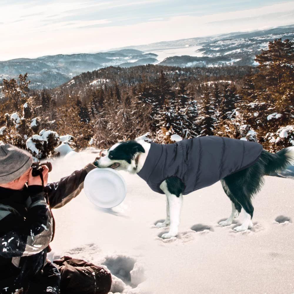 Windproof Dog Coat Waterproof Dog Winter Jacket Warm Dog Vest Cold Weather Pet Apparel with 2 Layers Fleece Lined for Small Medium Large Dogs