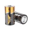 Nanfu D Size 1.5V Alkaline Batteries (20-Pack) CN plug (adapter included)