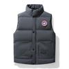 Youth Solid Color Stand Collar Goose Down Cotton Vest: Casual, Warm, Trendy Outerwear