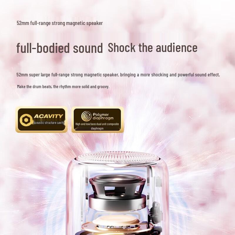Saina X6S Portable Wireless Bluetooth Speaker (CN version)