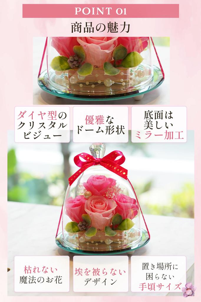 IPFA Preserved Flowers Glass Dome Elegance Premium You Birthday Wedding Gift Wedding Anniversary Retirement Gift 60th Birthday Gift Popular Flowers