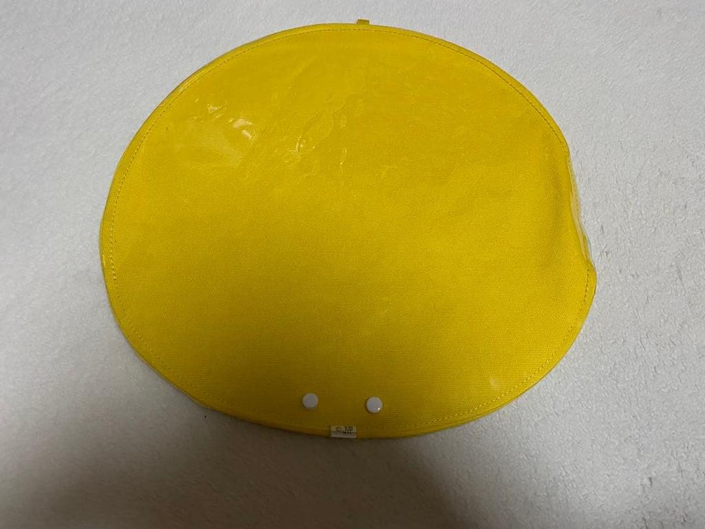 [USED] Stray Kids Felix SKZOO Fan Cover