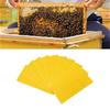 Packung mit 10 leichten, recycelbaren Kunststoff-Bienenstock-Substrukturböden, einfach zu handhaben für den mobilen Bienenstockbetrieb