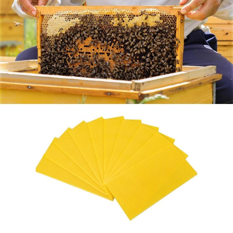 Packung mit 10 leichten, recycelbaren Kunststoff-Bienenstock-Substrukturböden, einfach zu handhaben für den mobilen Bienenstockbetrieb
