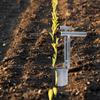 Plant And Fruit Tree Seedling Transplanter Stainless Steel Garden Barrel Transplanter Agricultural Puncher