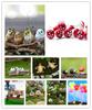 NEW Selling Artificial Mini Miniatures Fairy Garden Moss Terrarium Resin Crafts Decorations Stakes Craft