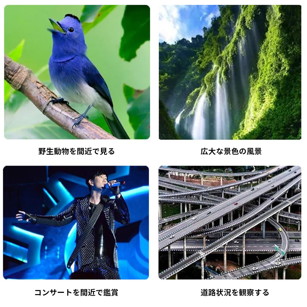 4x12" Museum Monocular, 4x Magnification, Compact, Museum Model, Art Appreciation Monocular, Glasses Compatible, Case and Strap Included (4x12)