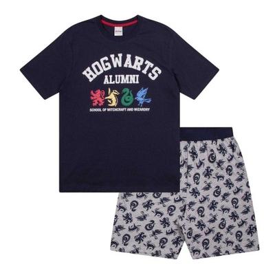 Boys Hogwarts Alumni Short Pyjama Set