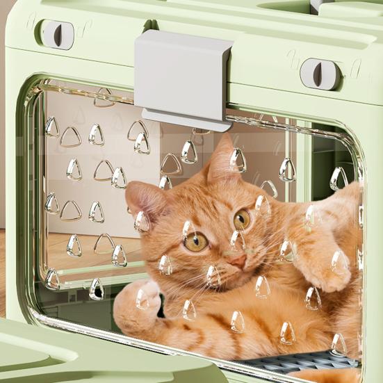 Trasportino Pieghevole per Animali da Viaggio Portacani Gatti in Plastica Dura con Tappetino Igienico Griglia a Rete Gabbietta Pieghevole per Cani Piccoli Gatti