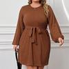 Plus Size Women High Waist Round Neck Puff Sleeve A Line Commute Dress