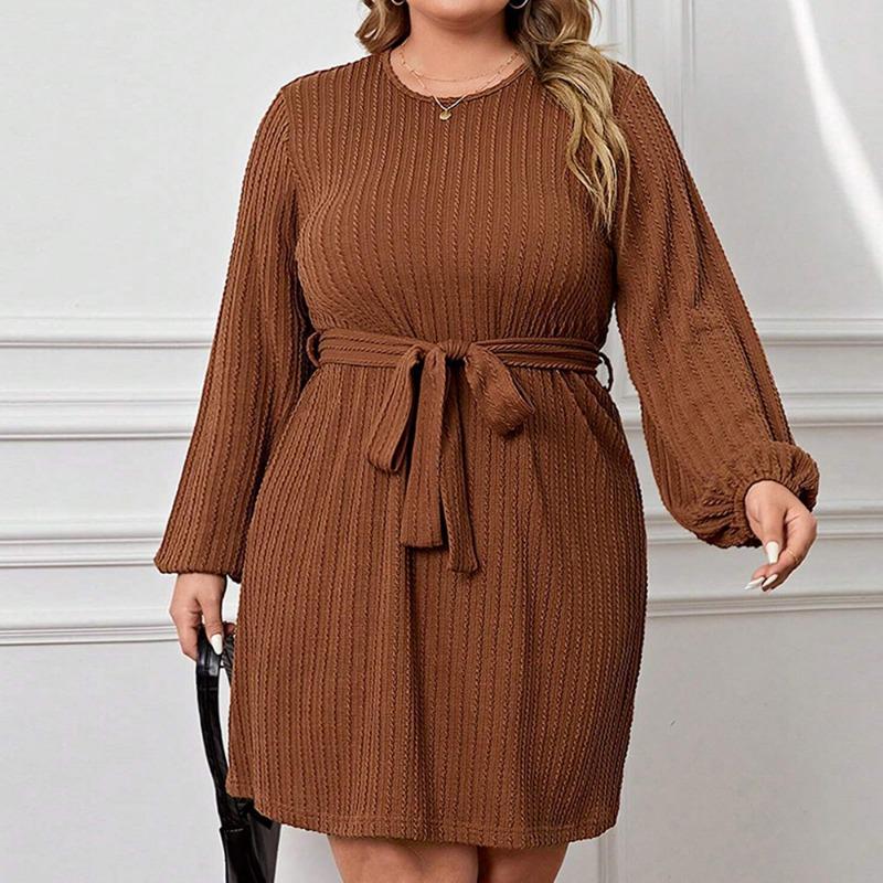 Plus Size Women High Waist Round Neck Puff Sleeve A Line Commute Dress