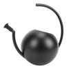 Watering Can, 1000ml Stainless Steel Indoor Plant Watering Pot with Comfortable Handle and   Spout, for   Garden Decor