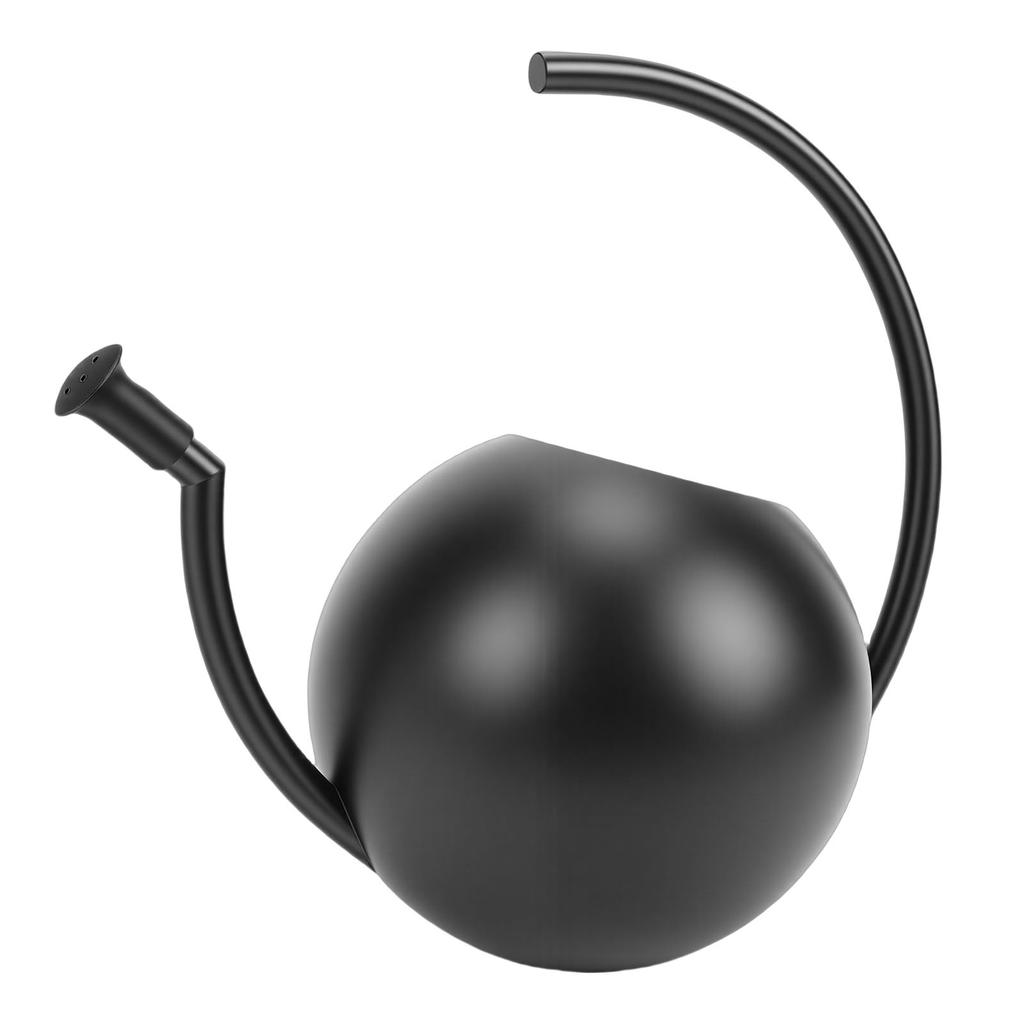 Watering Can, 1000ml Stainless Steel Indoor Plant Watering Pot with Comfortable Handle and Spout, for Garden Decor
