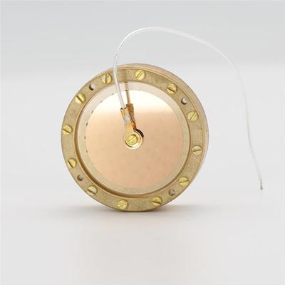 T10C!RK47 34mm Kondensatormikrofon Kapselkern Große Membran Einseitig Vergoldete Mikrofonkapsel für Studioaufnahmen