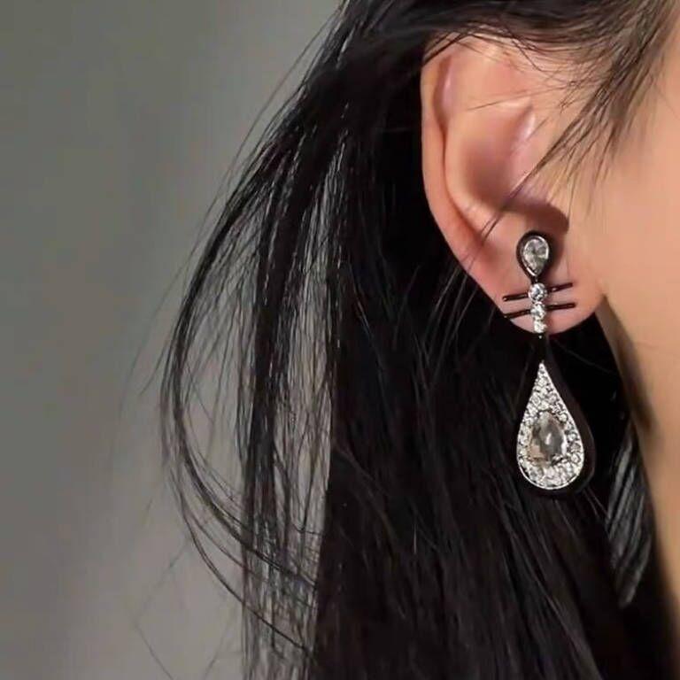Explosive black pipa earrings, new stud earrings, Chinese style, national style, elegant temperament earrings