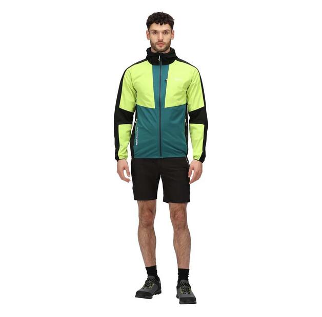 Regatta Mountain II Shorts