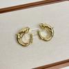 Exaggerated Carp Shaped Earrings Temperament Stud Earrings Round Metal Earrings  Holiday Party