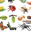 The World of Nature with Interactive STEM Toy Set
