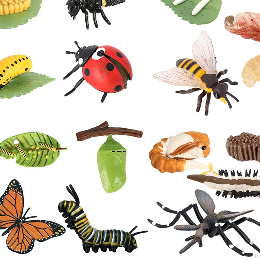 The World of Nature with Interactive STEM Toy Set