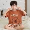 Boys Pajama Set Short Sleeve Cotton Cartoon Sleepwear Kids 8-16 Years Home Wear