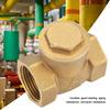 Golden Brass One Way Female Thread Swing Check Valve  Brass Check Valve Parts (DN15)