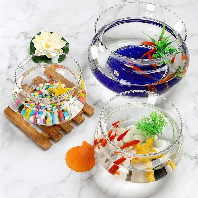 Rundes Glas-Spitzen-Fischbecken - Mini Transparentes Aquarium für Goldfische & Schildkröten