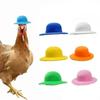 Hat For Hens Tiny Pets Chicken Household Pets Head Decor Chicken Hen Top Hat For Rooster Duck Parrot Hamster Poultry