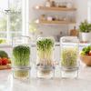Recipientes para alimentos – Conservação de alimentos