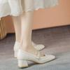 Mary Jane Shoes Retro Spring and Autumn New Fairy Gentle Thick Heels Retro Square Head Versatile High Heel Single Shoes