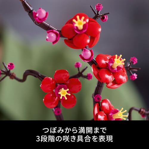 Jucărie botanică LEGO cu prune Cadou pentru ziua de naștere Bloc Crăciun Bărbați Femei Buchet Decor flori artificiale Interior Elegant 10369