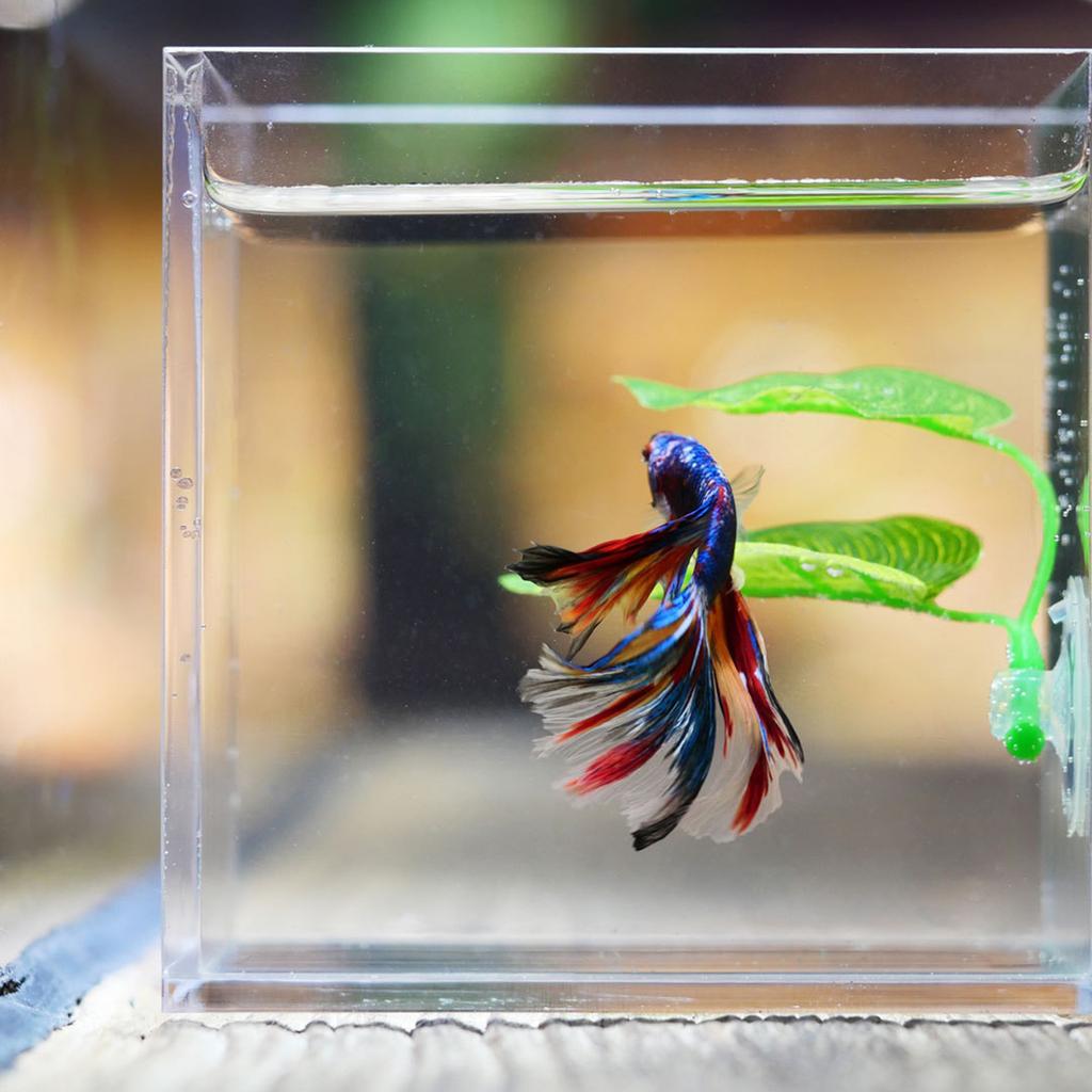 Artificial Aquarium Decor Plants Plastic Leaf for Aquarium Fish Tank Aquascape Decorative Plants for Fish Tanks Aquarium Basins