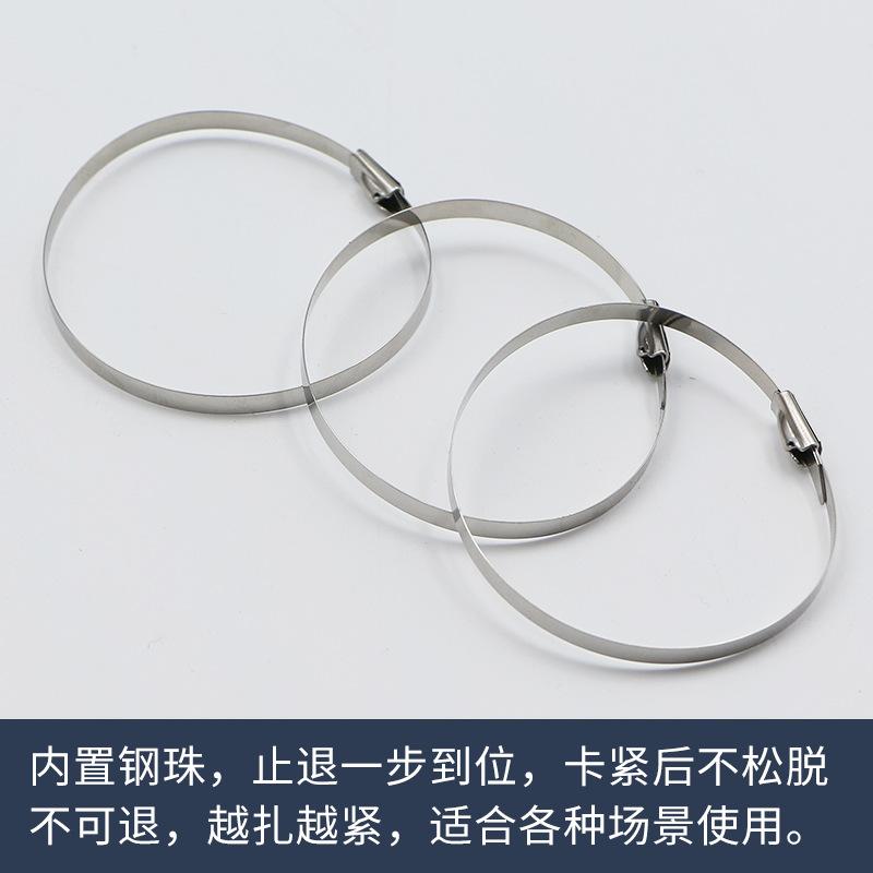 20 Pcs 304 Stainless Cable Ties, Zip Ties for Cable Management