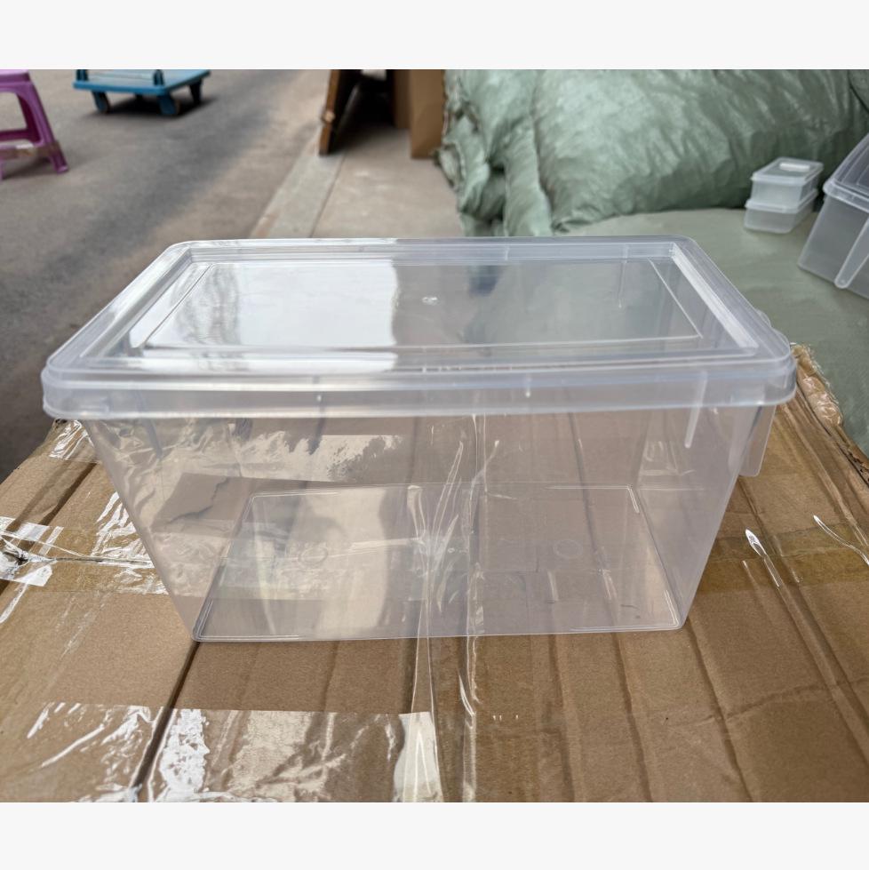 Egg Fridge Storage Box: Food-Grade Fresh-Keeping for Vegetables & Fruits