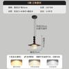 Oeny Walnut Grain Pendant Lamp