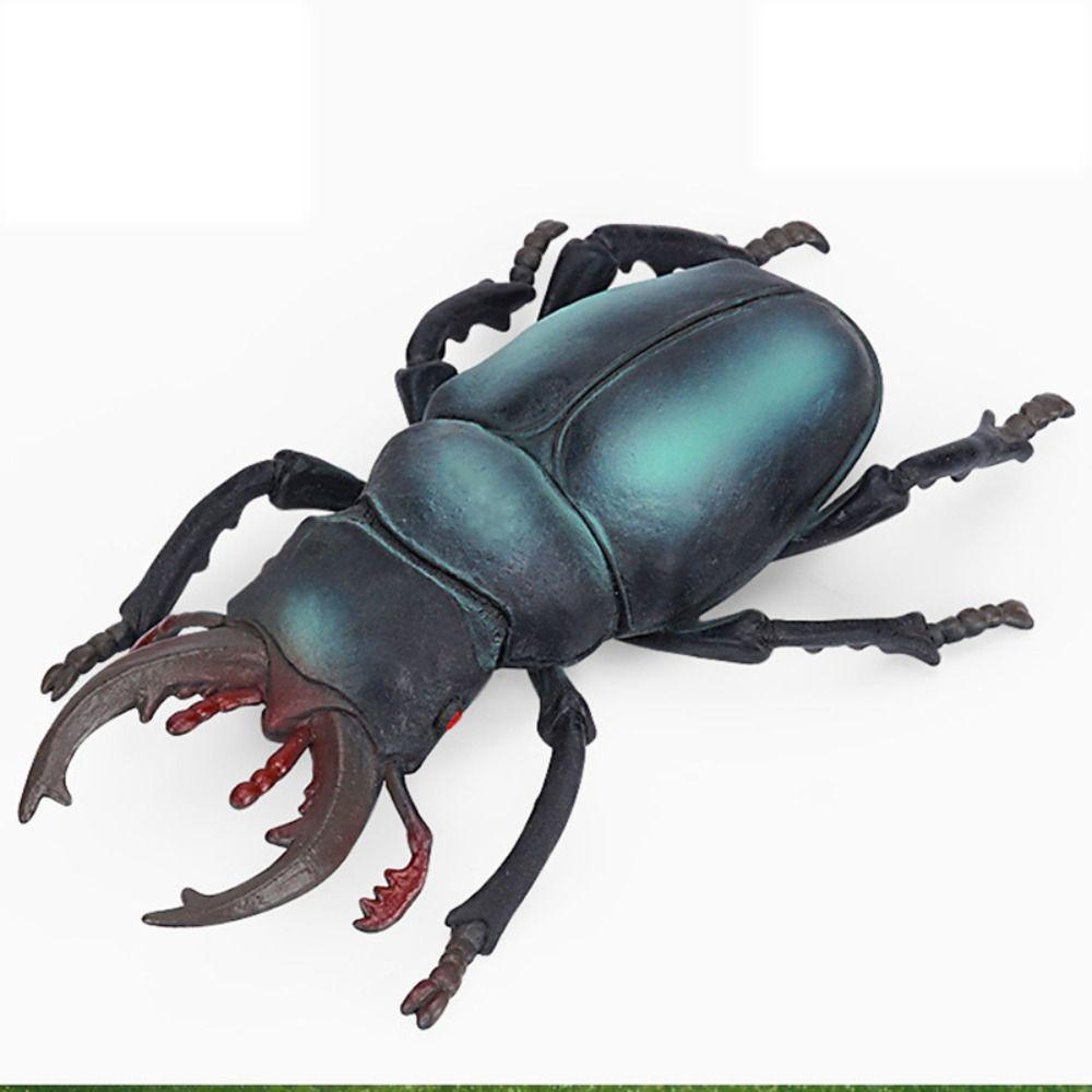 

Модель дикої природи Імітація коника , Павуки, Імітована модель комахи, Смішні дитячі іграшки