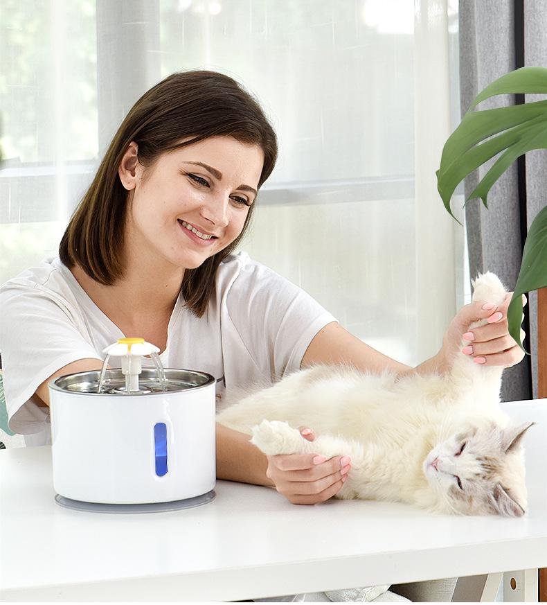Hot Selling Smart Pet Water Dispenser & Feeder for Cats and Dogs