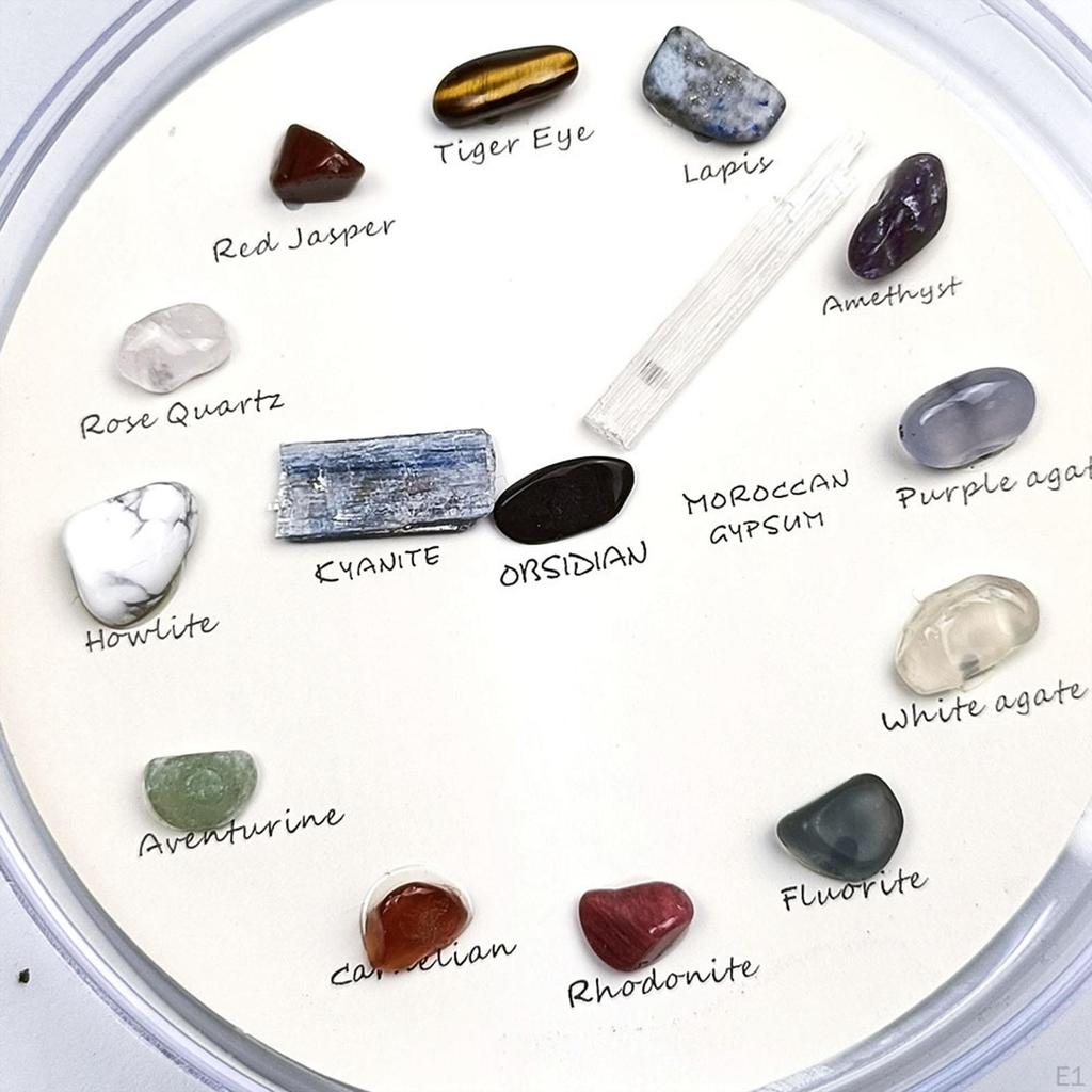 15Pcs Rock Mineral Collection Geology Science Kit Learning Educational Set for Collector