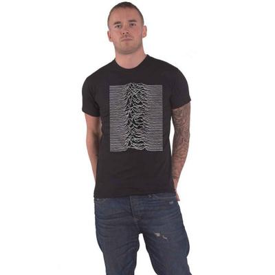 Joy Division Unisex Adult Unknown Pleasures Back Print T-Shirt