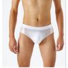 Shiny Silky Stretch Briefs