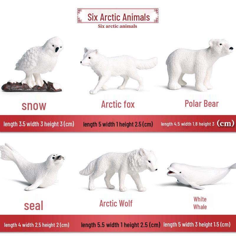 Killer Whale Marine Animal Model: Children s Educational Toy & Ornament