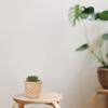 10 Pcs Mini Bamboo Storage Basket Baskets Office Trash Can Home Decorative Fruit Hand-woven Wooden Holder